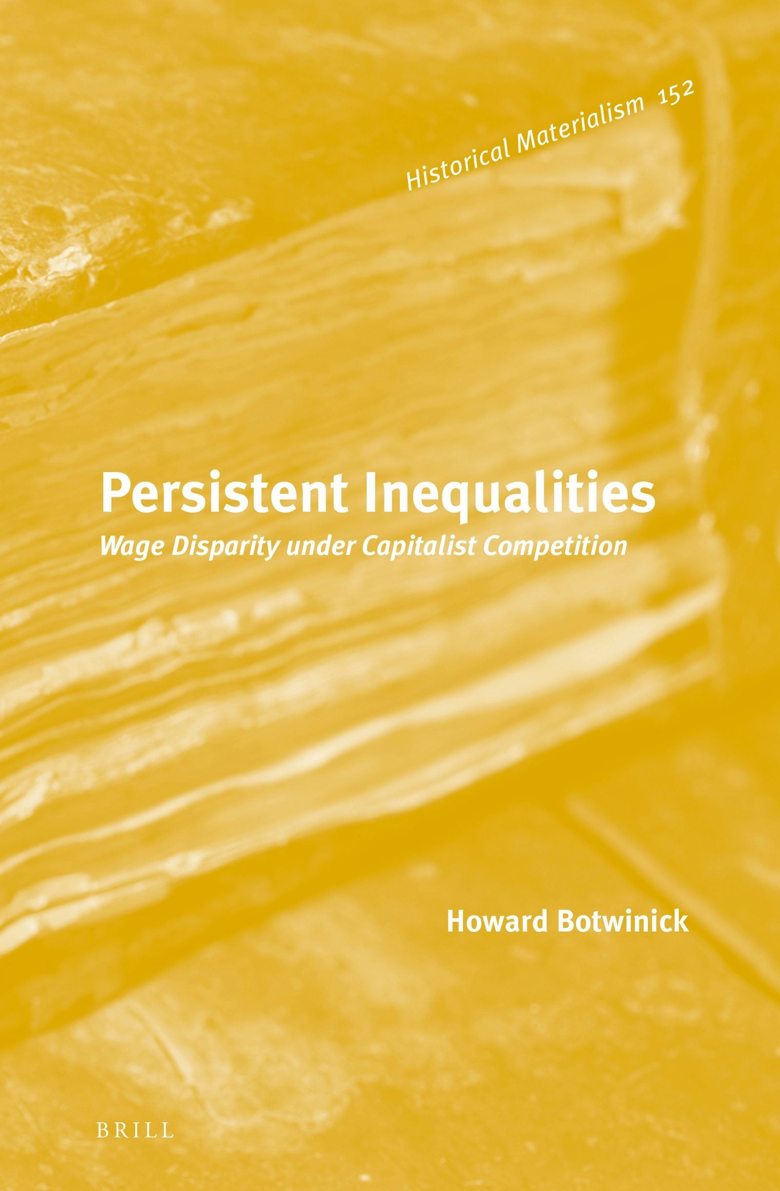 Book cover image for Persistent Inequalities ISBN: 9789004269583